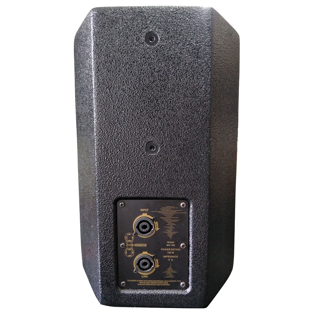 8 inch Speaker BKR BR-YX8